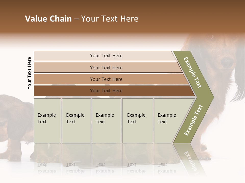 Mother Dogs And Puppies Breed Dachshund PowerPoint Template