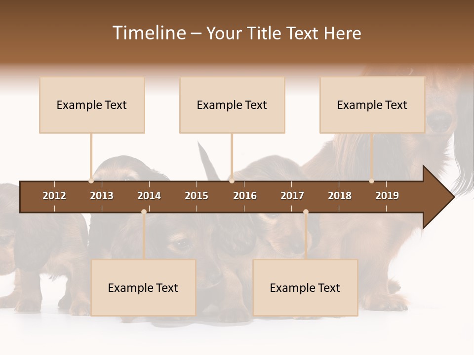 Mother Dogs And Puppies Breed Dachshund PowerPoint Template