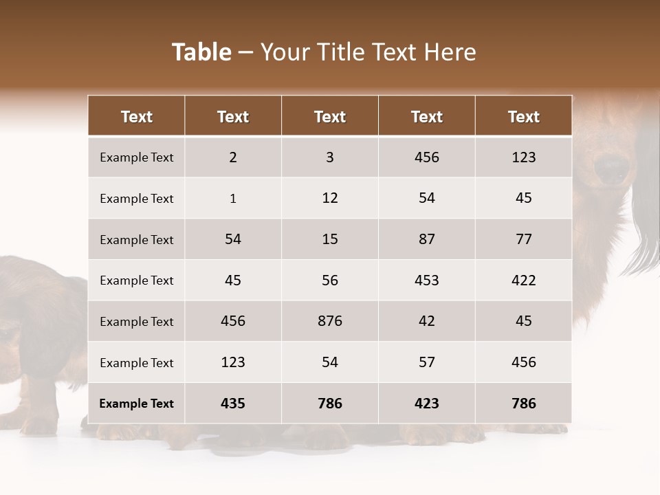 Mother Dogs And Puppies Breed Dachshund PowerPoint Template