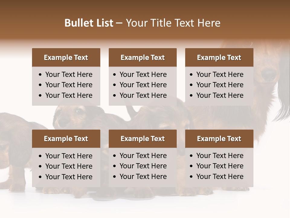 Mother Dogs And Puppies Breed Dachshund PowerPoint Template