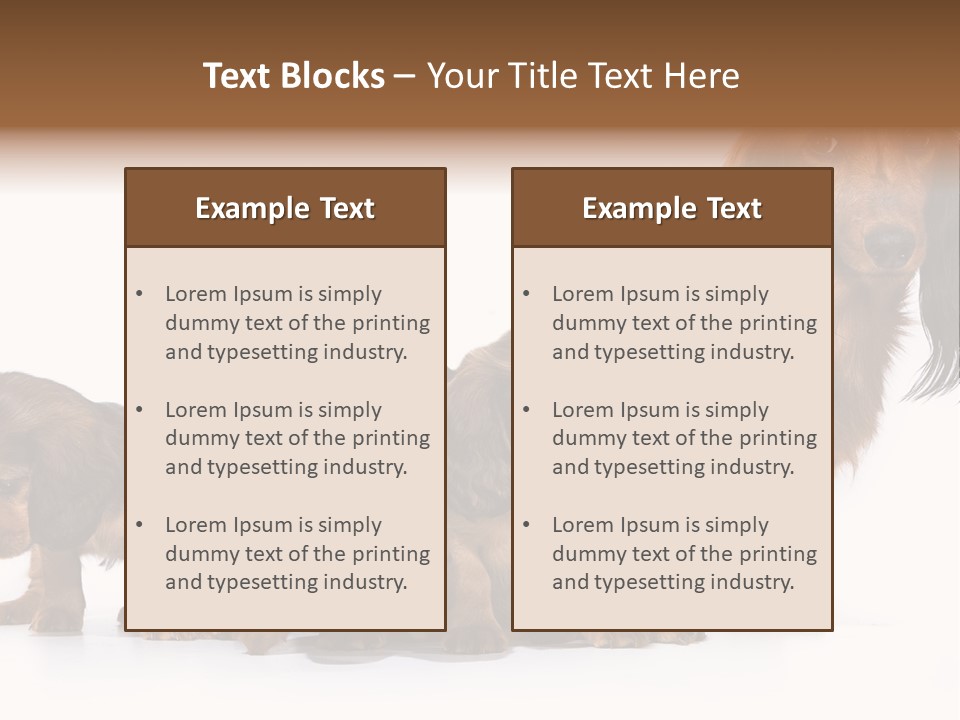 Mother Dogs And Puppies Breed Dachshund PowerPoint Template