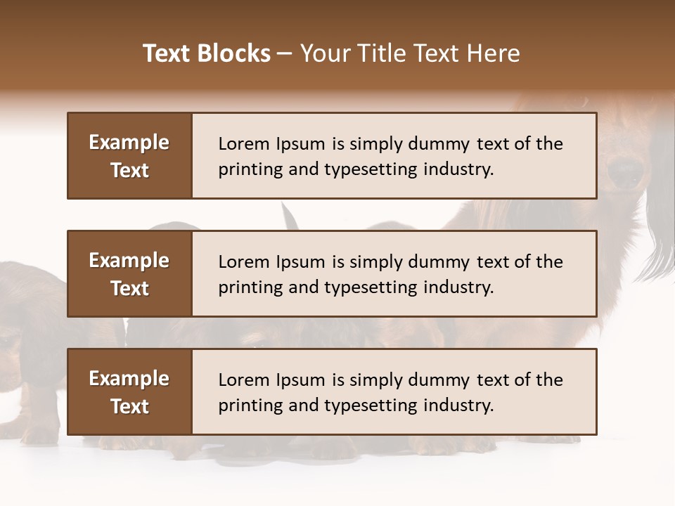 Mother Dogs And Puppies Breed Dachshund PowerPoint Template