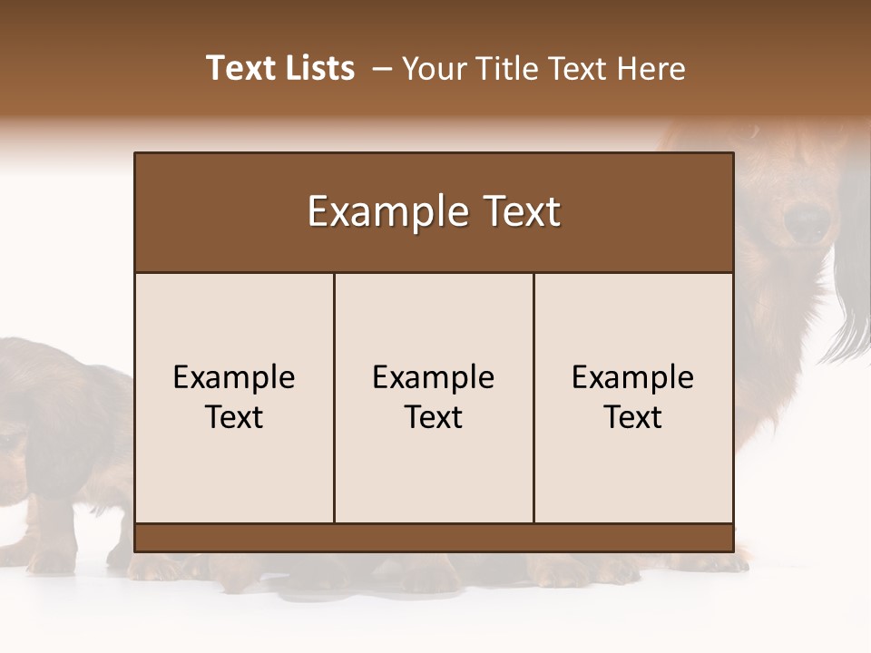 Mother Dogs And Puppies Breed Dachshund PowerPoint Template