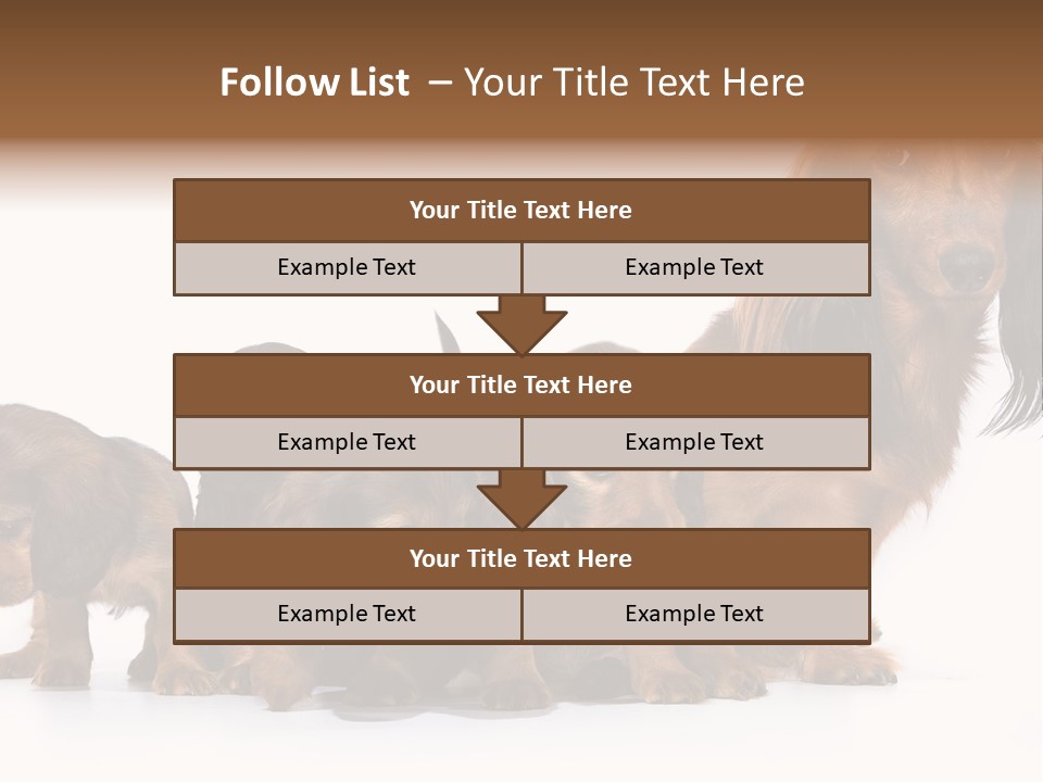 Mother Dogs And Puppies Breed Dachshund PowerPoint Template