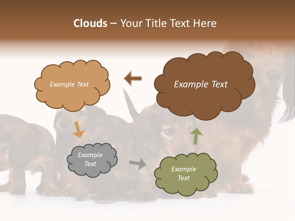 Mother Dogs And Puppies Breed Dachshund PowerPoint Template