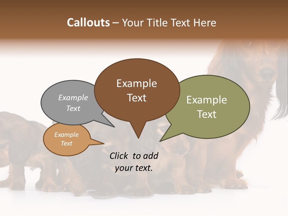 Mother Dogs And Puppies Breed Dachshund PowerPoint Template