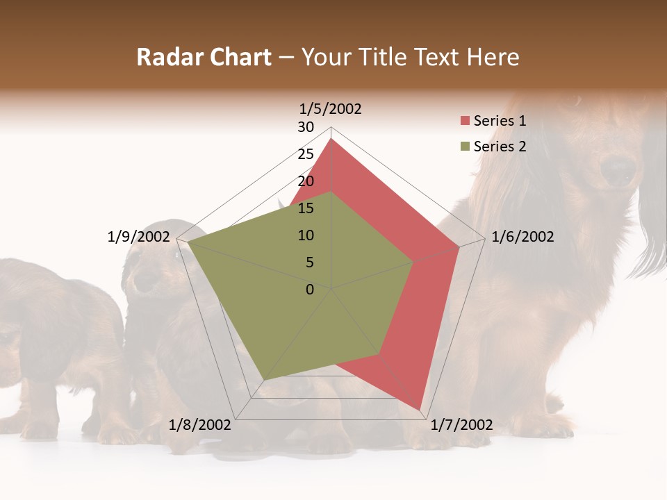 Mother Dogs And Puppies Breed Dachshund PowerPoint Template