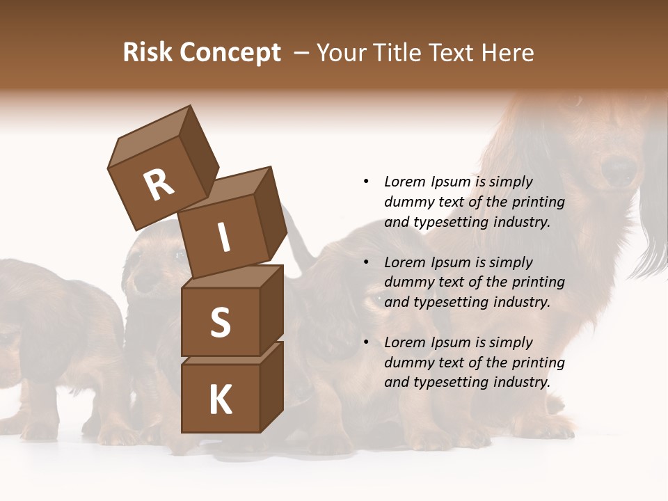 Mother Dogs And Puppies Breed Dachshund PowerPoint Template