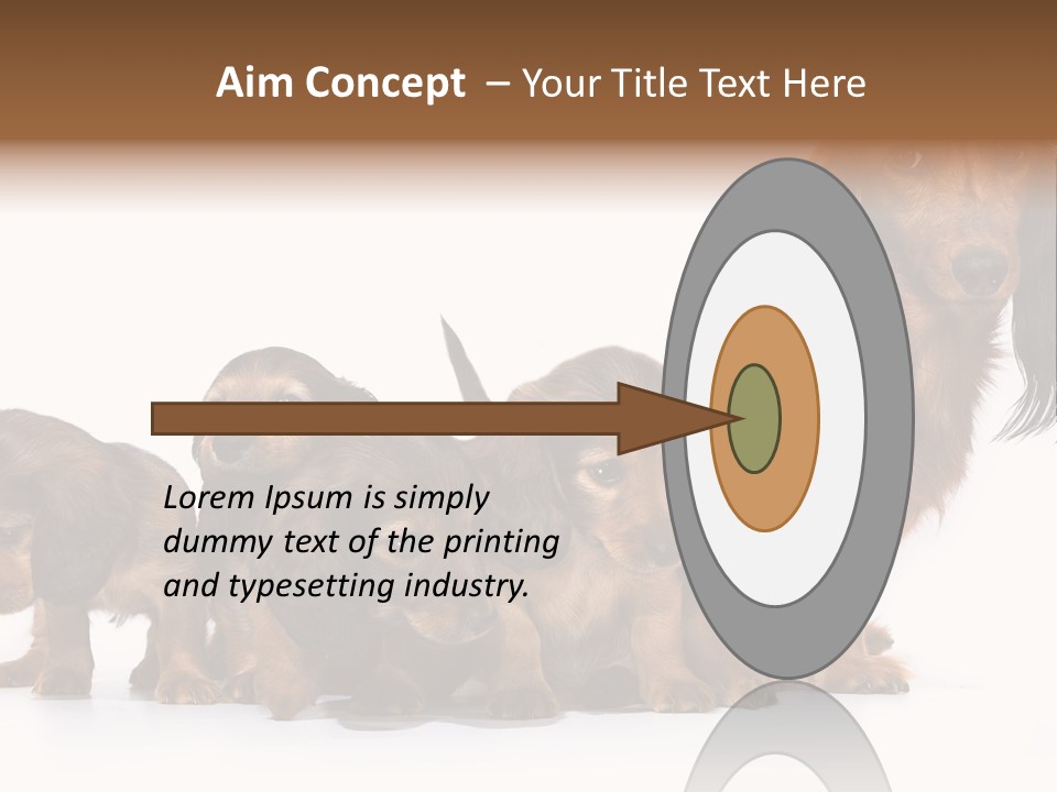 Mother Dogs And Puppies Breed Dachshund PowerPoint Template