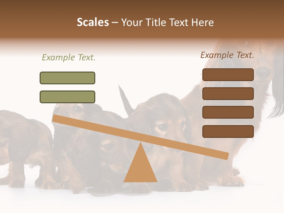 Mother Dogs And Puppies Breed Dachshund PowerPoint Template