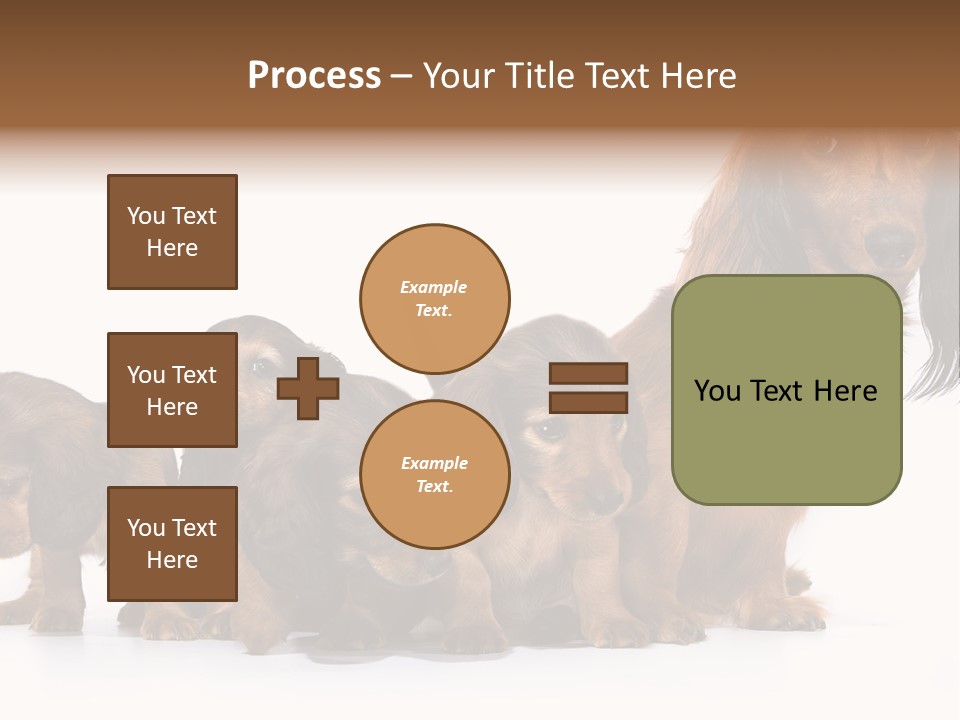 Mother Dogs And Puppies Breed Dachshund PowerPoint Template