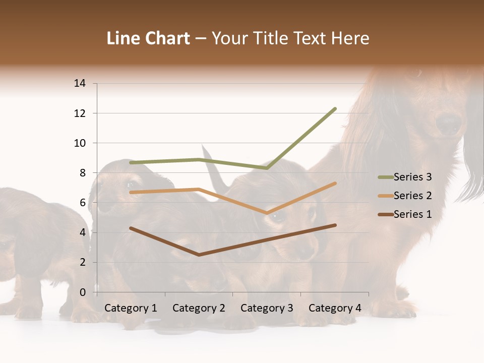Mother Dogs And Puppies Breed Dachshund PowerPoint Template