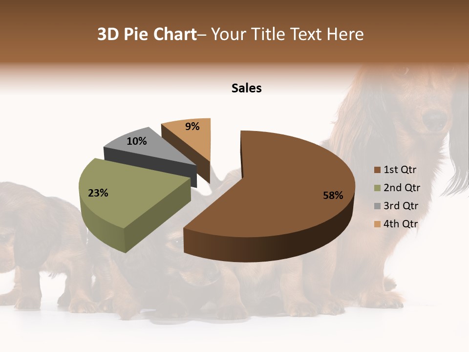 Mother Dogs And Puppies Breed Dachshund PowerPoint Template