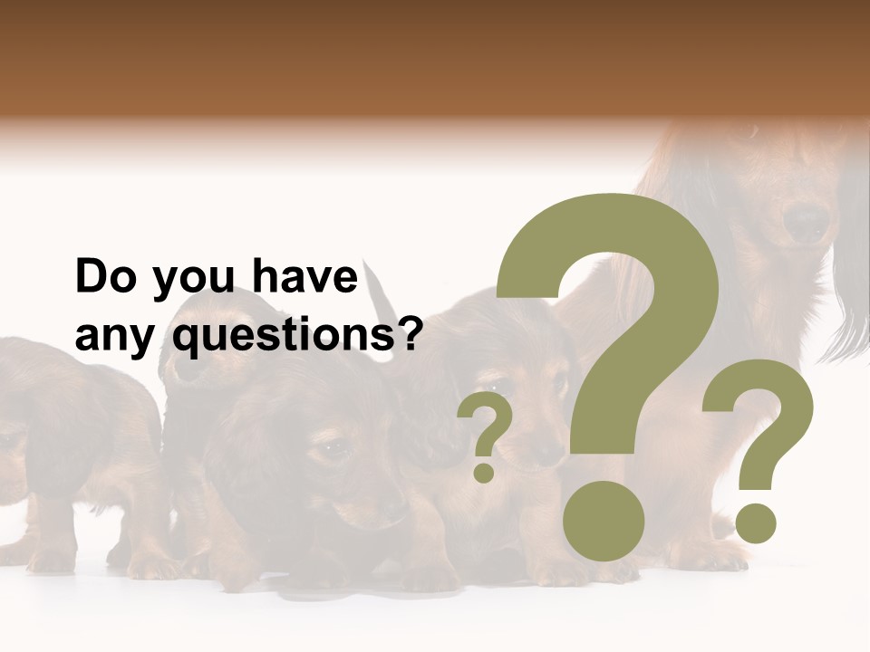 Mother Dogs And Puppies Breed Dachshund PowerPoint Template