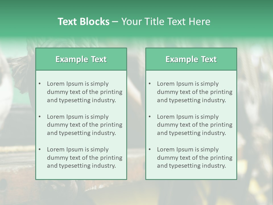 Ships Rope PowerPoint Template