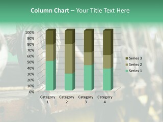 Ships Rope PowerPoint Template