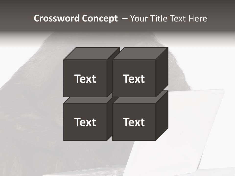 Monkey (Mixed-Breed Between Chimpanzee And Bonobo)V Playing With A Laptop In Front Of A White Background PowerPoint Template