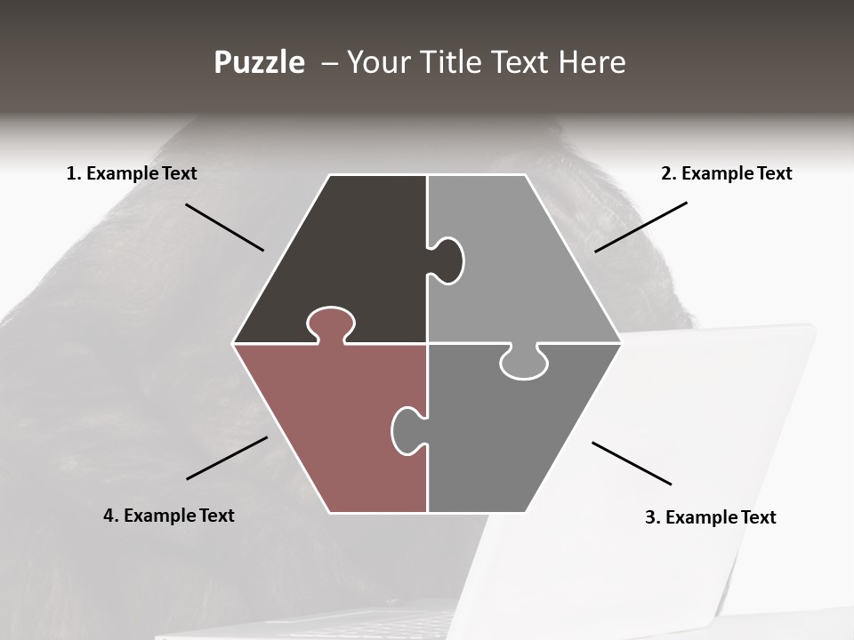 Monkey (Mixed-Breed Between Chimpanzee And Bonobo)V Playing With A Laptop In Front Of A White Background PowerPoint Template