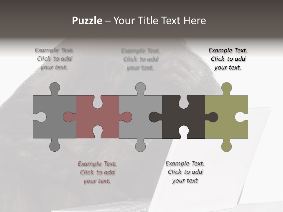 Monkey (Mixed-Breed Between Chimpanzee And Bonobo)V Playing With A Laptop In Front Of A White Background PowerPoint Template