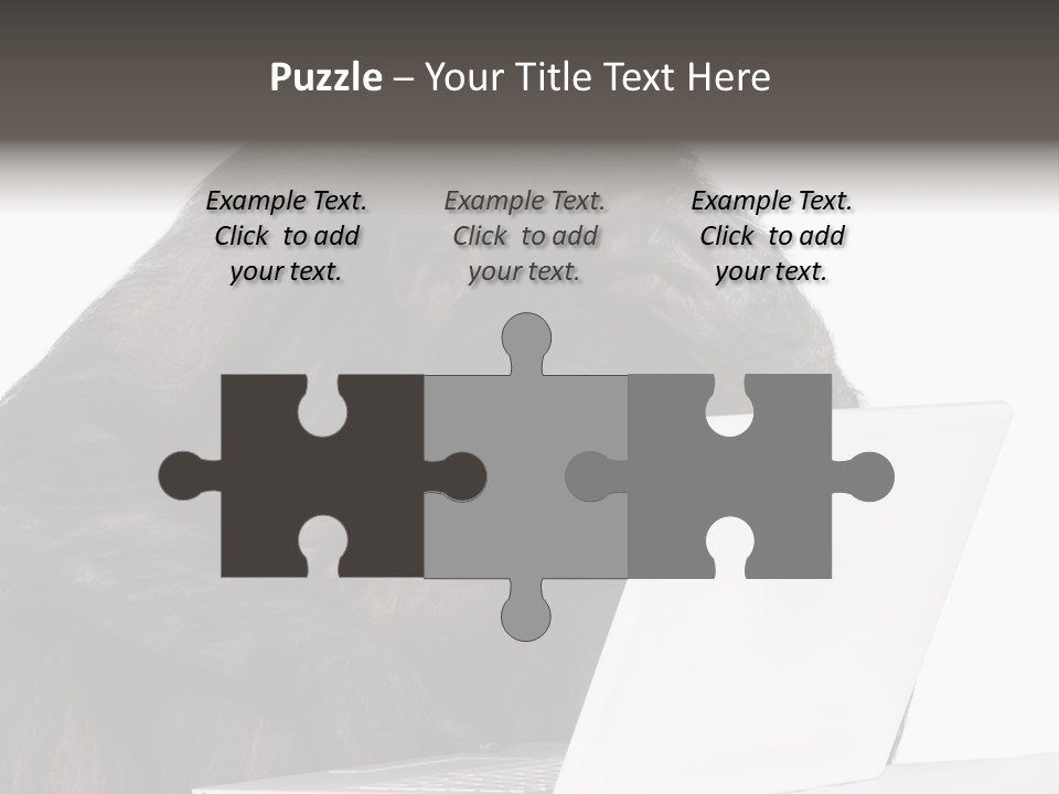 Monkey (Mixed-Breed Between Chimpanzee And Bonobo)V Playing With A Laptop In Front Of A White Background PowerPoint Template