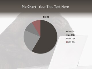 Monkey (Mixed-Breed Between Chimpanzee And Bonobo)V Playing With A Laptop In Front Of A White Background PowerPoint Template