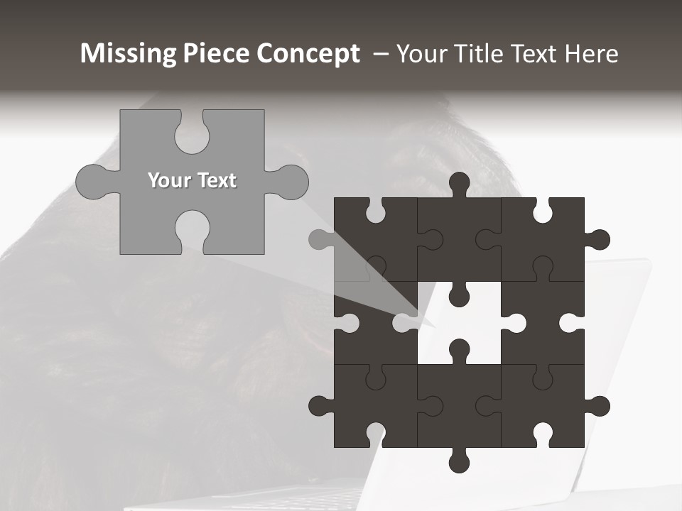 Monkey (Mixed-Breed Between Chimpanzee And Bonobo)V Playing With A Laptop In Front Of A White Background PowerPoint Template