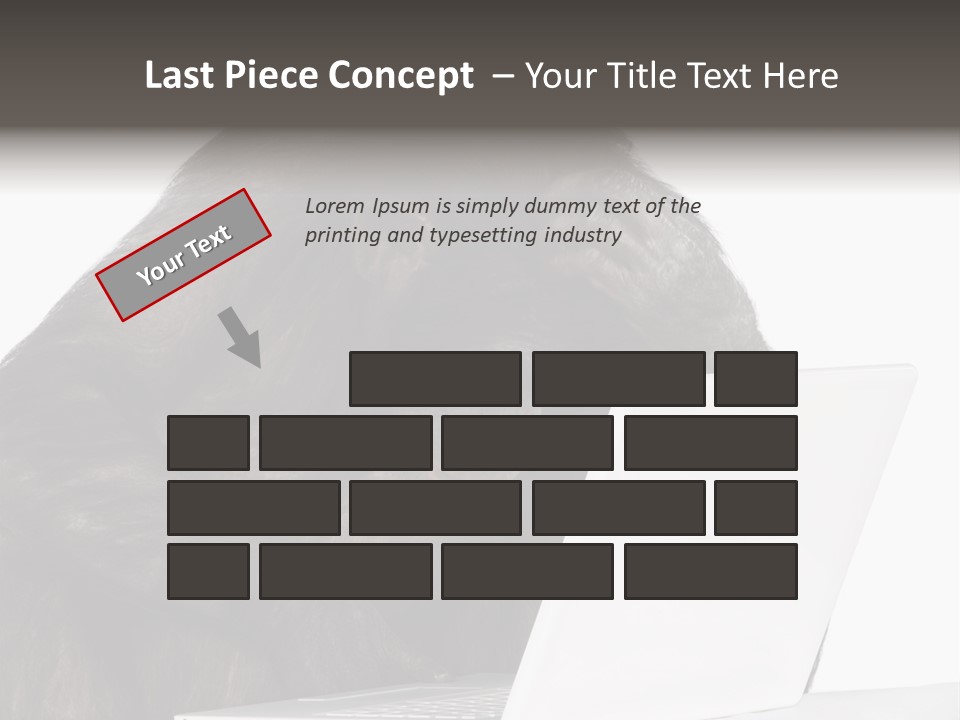 Monkey (Mixed-Breed Between Chimpanzee And Bonobo)V Playing With A Laptop In Front Of A White Background PowerPoint Template