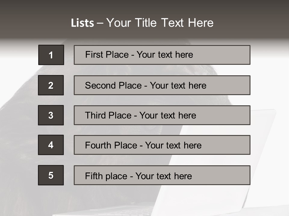 Monkey (Mixed-Breed Between Chimpanzee And Bonobo)V Playing With A Laptop In Front Of A White Background PowerPoint Template