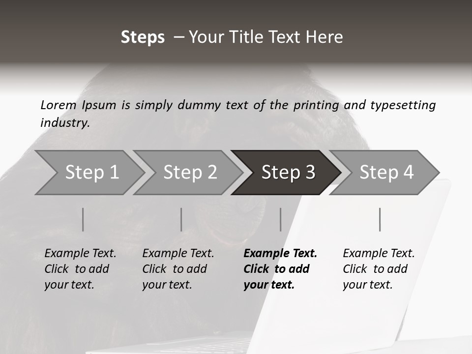 Monkey (Mixed-Breed Between Chimpanzee And Bonobo)V Playing With A Laptop In Front Of A White Background PowerPoint Template