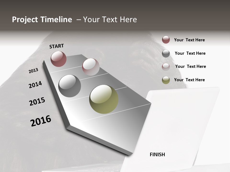 Monkey (Mixed-Breed Between Chimpanzee And Bonobo)V Playing With A Laptop In Front Of A White Background PowerPoint Template