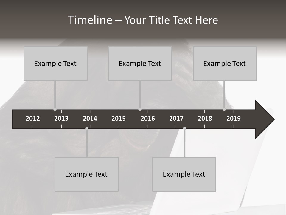 Monkey (Mixed-Breed Between Chimpanzee And Bonobo)V Playing With A Laptop In Front Of A White Background PowerPoint Template