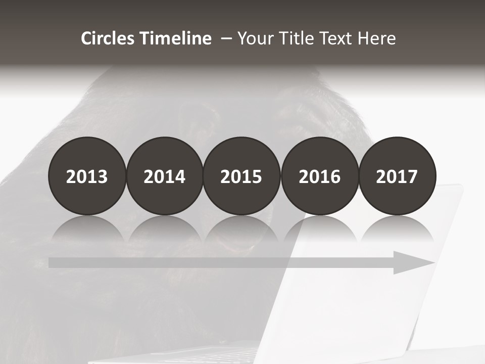 Monkey (Mixed-Breed Between Chimpanzee And Bonobo)V Playing With A Laptop In Front Of A White Background PowerPoint Template