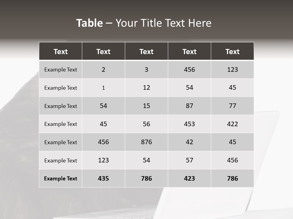 Monkey (Mixed-Breed Between Chimpanzee And Bonobo)V Playing With A Laptop In Front Of A White Background PowerPoint Template