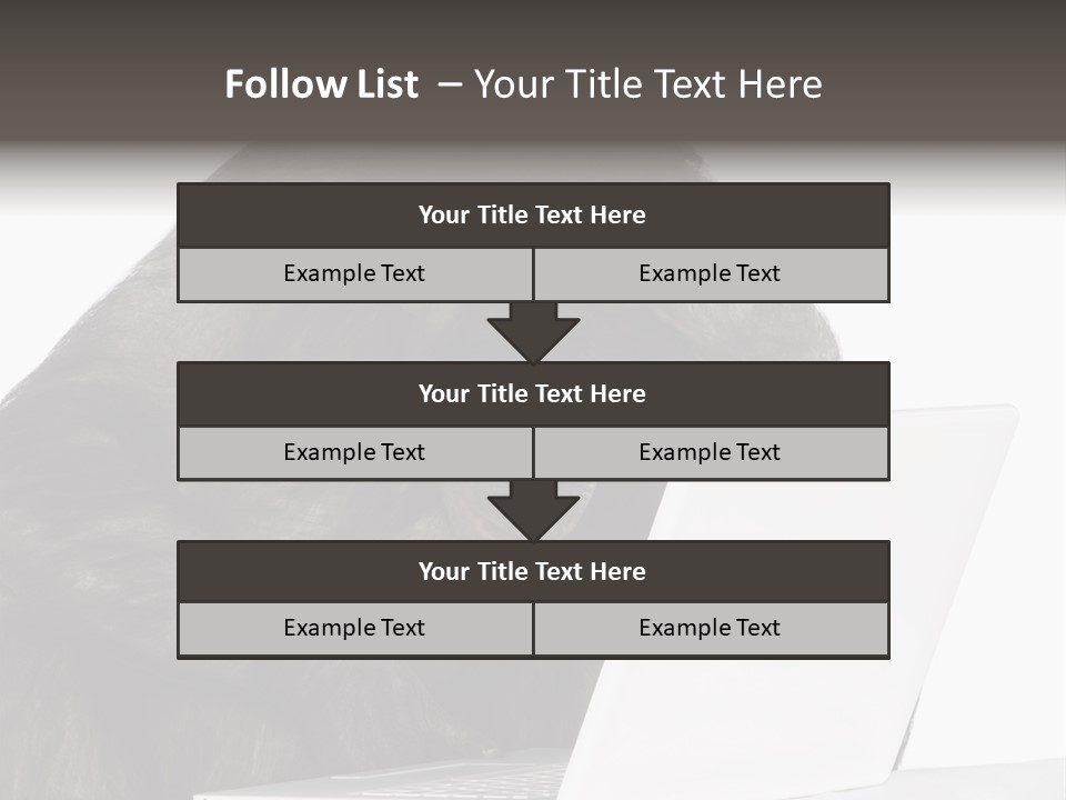 Monkey (Mixed-Breed Between Chimpanzee And Bonobo)V Playing With A Laptop In Front Of A White Background PowerPoint Template