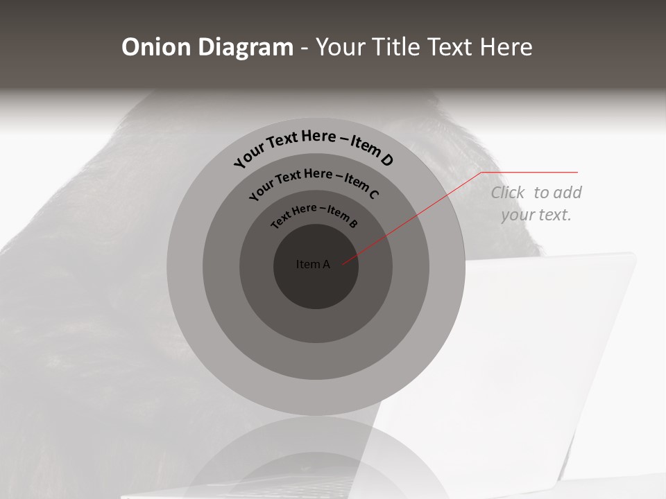 Monkey (Mixed-Breed Between Chimpanzee And Bonobo)V Playing With A Laptop In Front Of A White Background PowerPoint Template