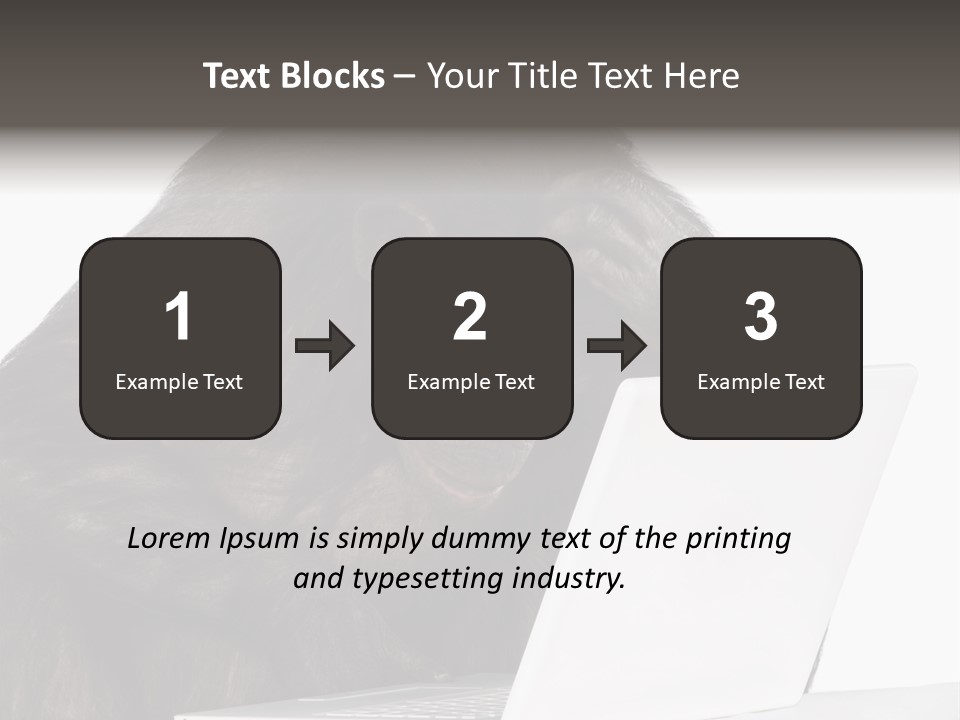 Monkey (Mixed-Breed Between Chimpanzee And Bonobo)V Playing With A Laptop In Front Of A White Background PowerPoint Template