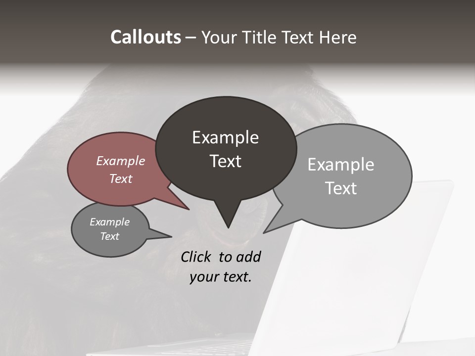 Monkey (Mixed-Breed Between Chimpanzee And Bonobo)V Playing With A Laptop In Front Of A White Background PowerPoint Template