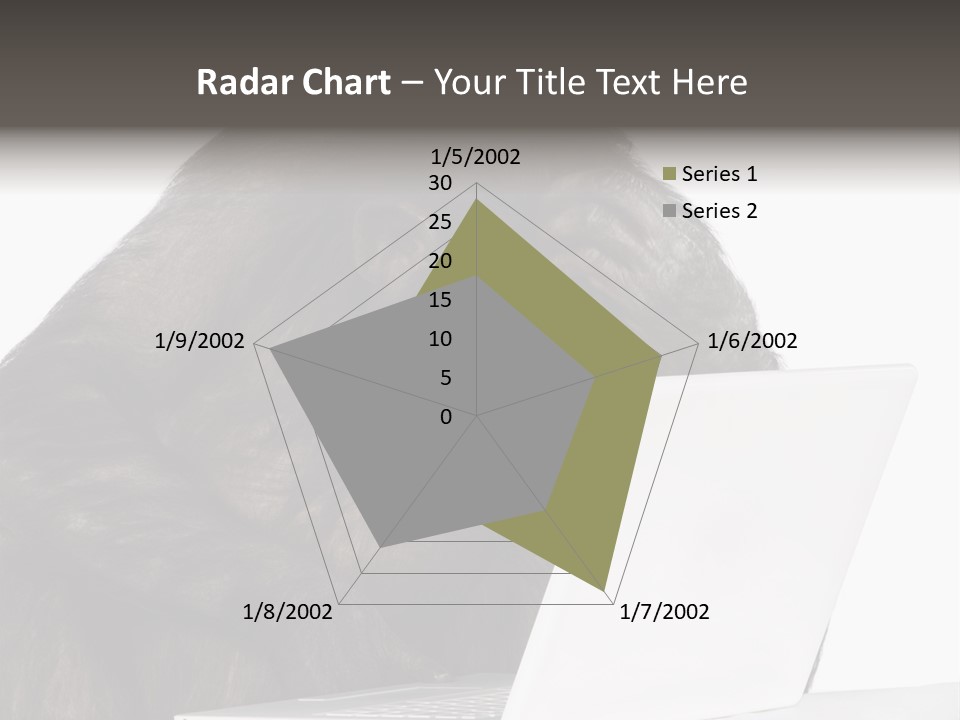 Monkey (Mixed-Breed Between Chimpanzee And Bonobo)V Playing With A Laptop In Front Of A White Background PowerPoint Template