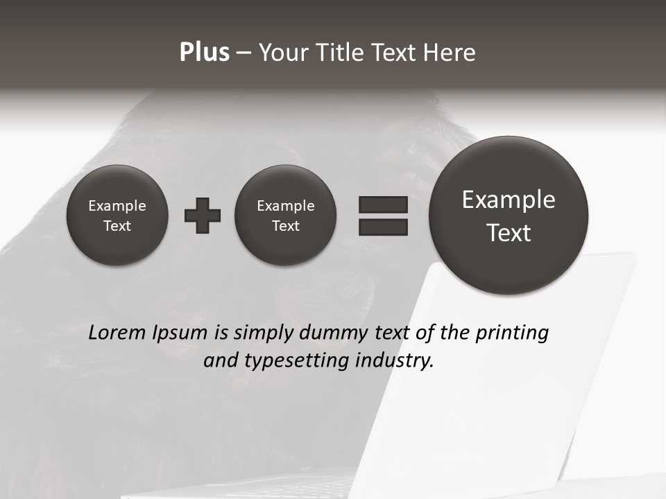 Monkey (Mixed-Breed Between Chimpanzee And Bonobo)V Playing With A Laptop In Front Of A White Background PowerPoint Template