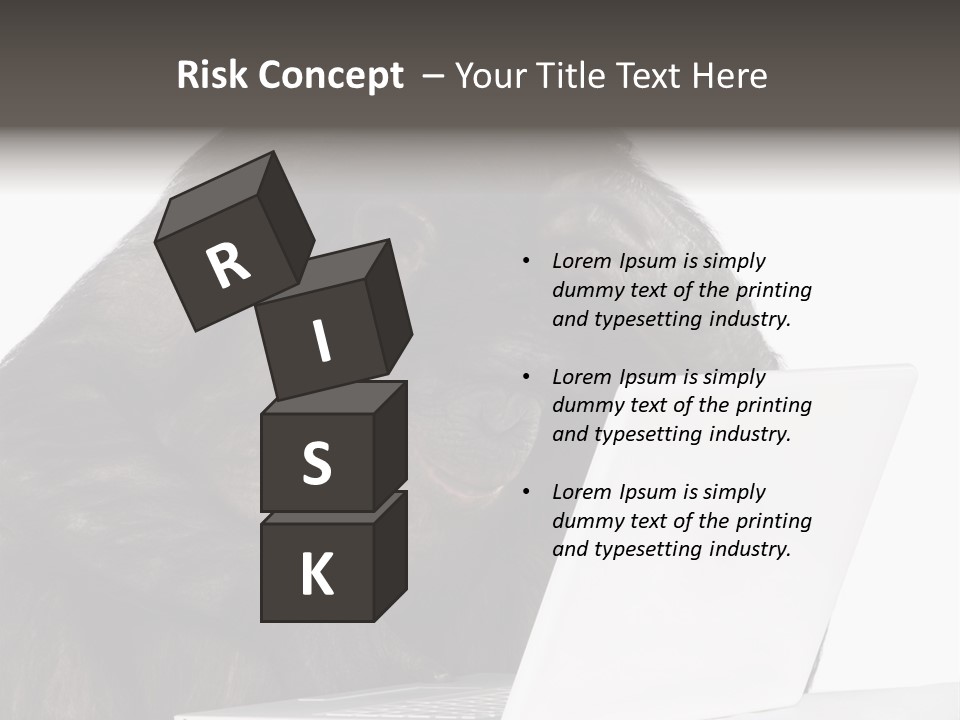 Monkey (Mixed-Breed Between Chimpanzee And Bonobo)V Playing With A Laptop In Front Of A White Background PowerPoint Template