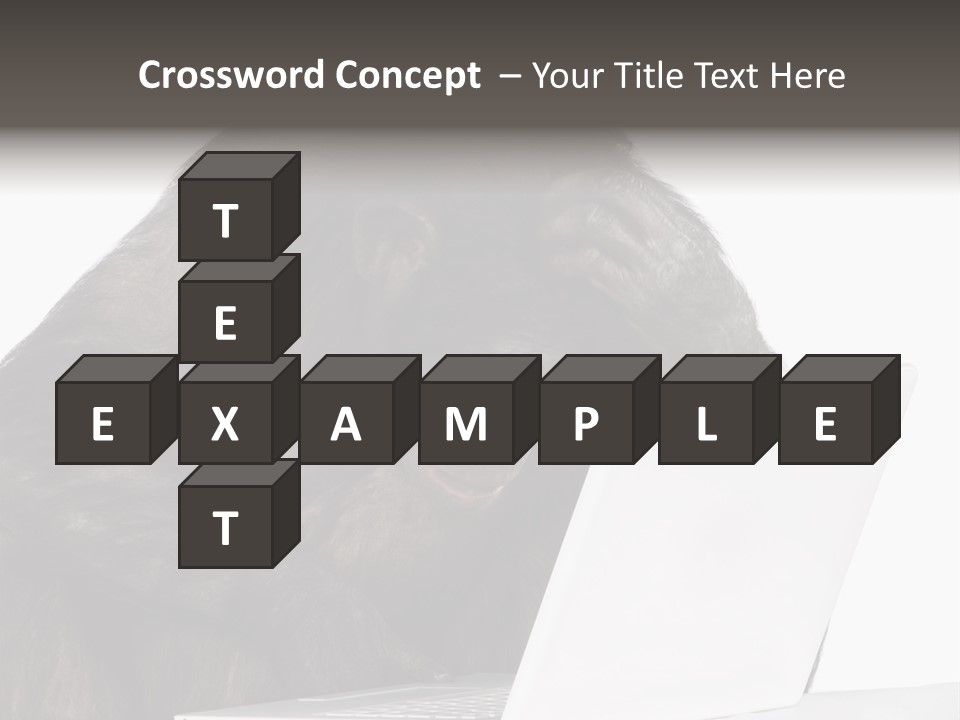 Monkey (Mixed-Breed Between Chimpanzee And Bonobo)V Playing With A Laptop In Front Of A White Background PowerPoint Template