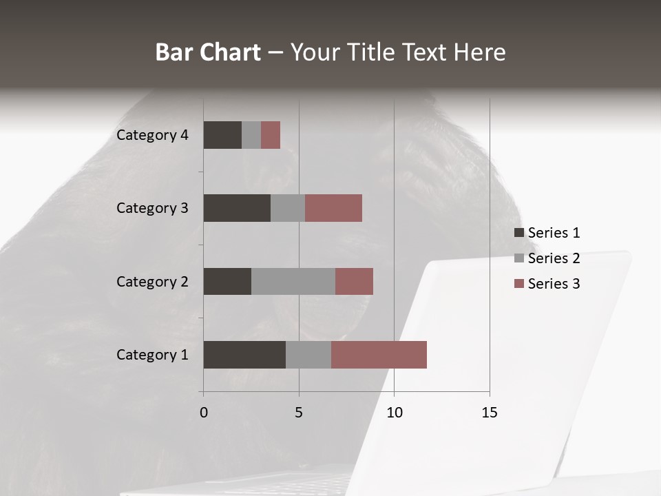 Monkey (Mixed-Breed Between Chimpanzee And Bonobo)V Playing With A Laptop In Front Of A White Background PowerPoint Template