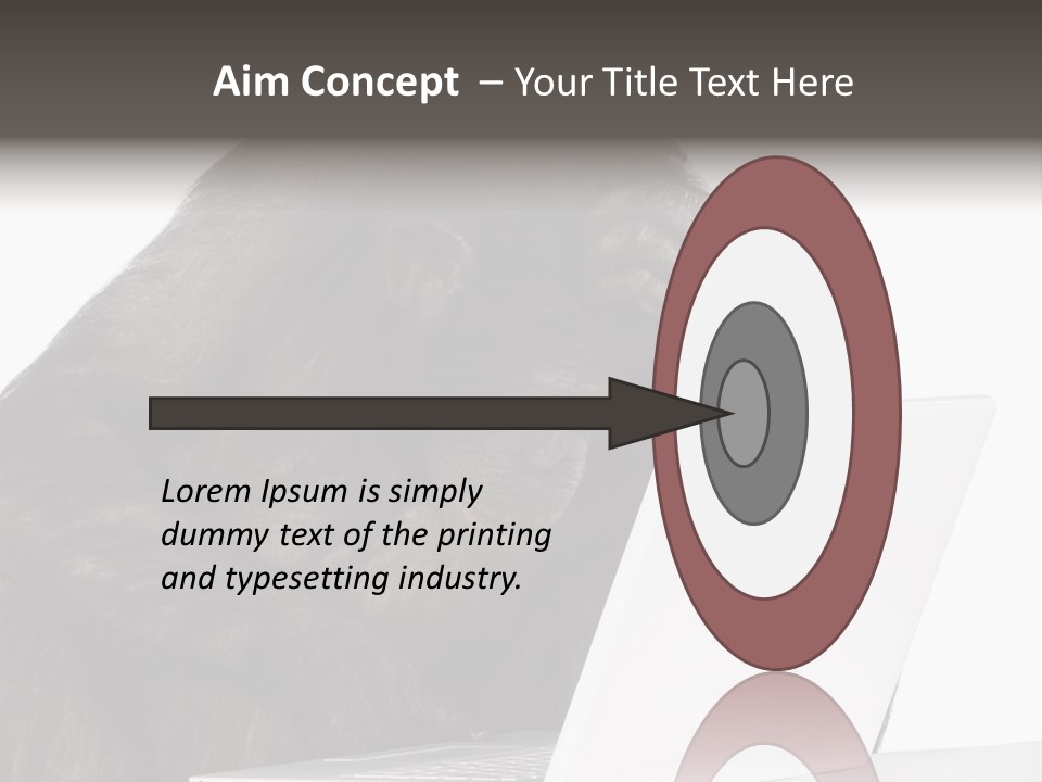 Monkey (Mixed-Breed Between Chimpanzee And Bonobo)V Playing With A Laptop In Front Of A White Background PowerPoint Template