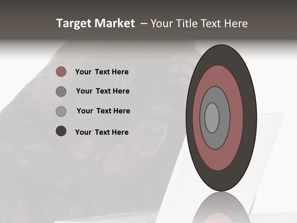 Monkey (Mixed-Breed Between Chimpanzee And Bonobo)V Playing With A Laptop In Front Of A White Background PowerPoint Template