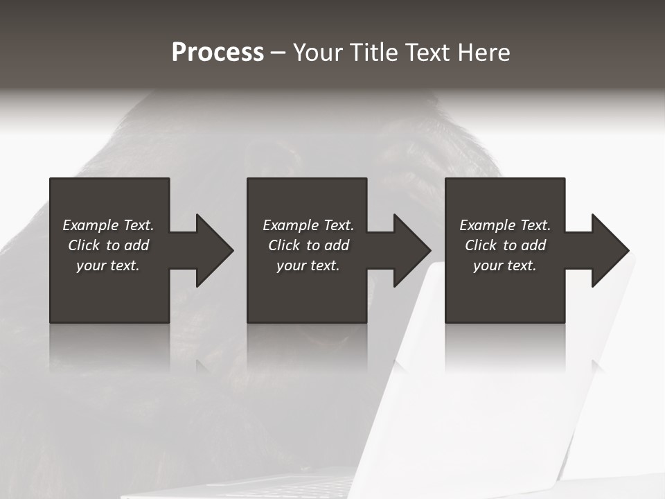 Monkey (Mixed-Breed Between Chimpanzee And Bonobo)V Playing With A Laptop In Front Of A White Background PowerPoint Template