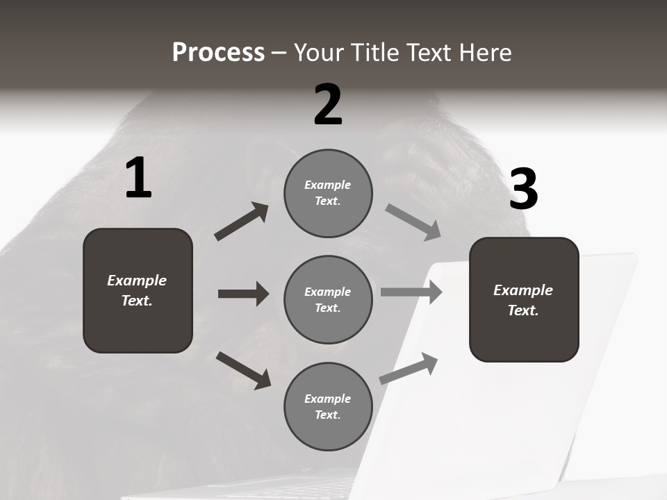 Monkey (Mixed-Breed Between Chimpanzee And Bonobo)V Playing With A Laptop In Front Of A White Background PowerPoint Template