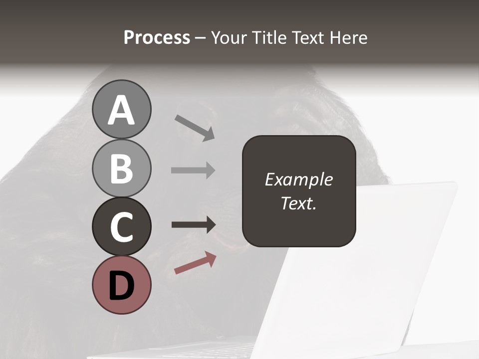 Monkey (Mixed-Breed Between Chimpanzee And Bonobo)V Playing With A Laptop In Front Of A White Background PowerPoint Template