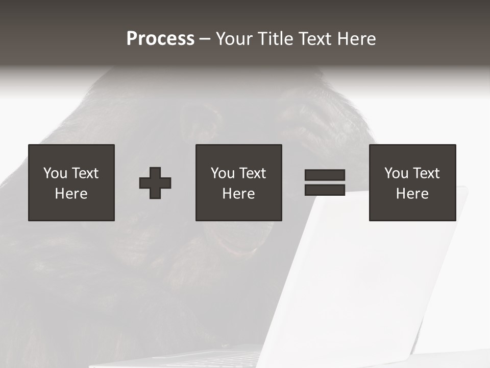Monkey (Mixed-Breed Between Chimpanzee And Bonobo)V Playing With A Laptop In Front Of A White Background PowerPoint Template