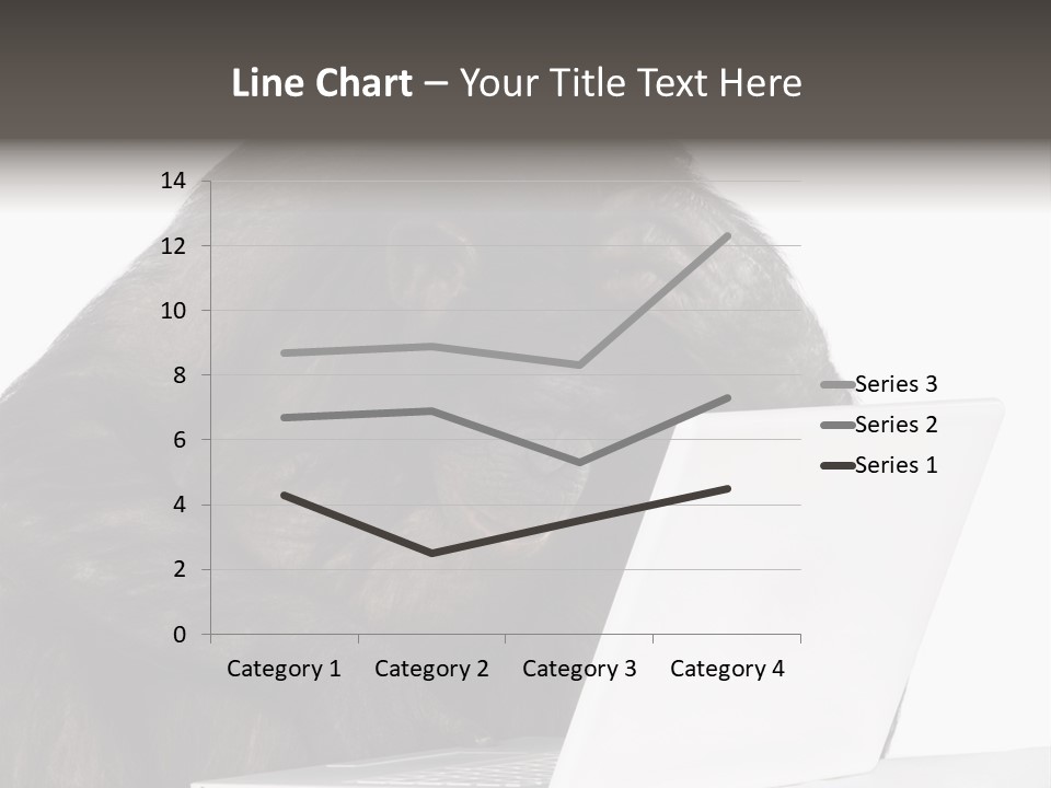 Monkey (Mixed-Breed Between Chimpanzee And Bonobo)V Playing With A Laptop In Front Of A White Background PowerPoint Template