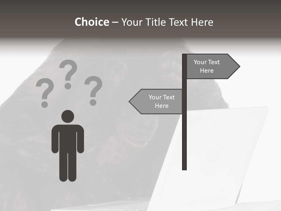 Monkey (Mixed-Breed Between Chimpanzee And Bonobo)V Playing With A Laptop In Front Of A White Background PowerPoint Template